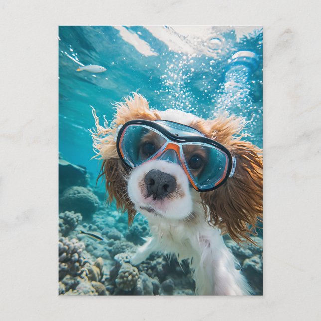 Cartes Pour Fêtes Annuelles Épagneul King Charles Cocker conduisant dans l'océ (Devant)