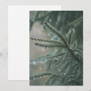 Cartes Pour Fêtes Annuelles Épicéa vert de près, esthétique de Noël