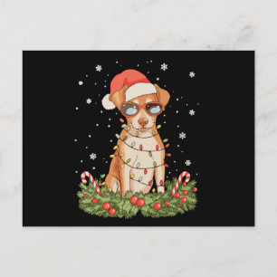 Cartes Pour Fêtes Annuelles Épingle de chien de Noël Pinscher Xmas Chapeau de