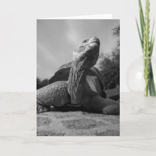 Cartes Pour Fêtes Annuelles Équateur, Parc national des îles Galapagos, Père N