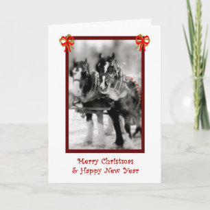 Cartes Pour Fêtes Annuelles Équipe Cheval, Joyeux Noël, Bonne Année
