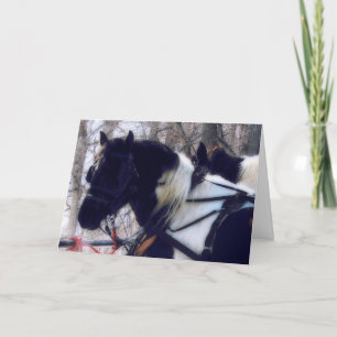 Cartes Pour Fêtes Annuelles Équipe Pinto Draft Horse, Noël