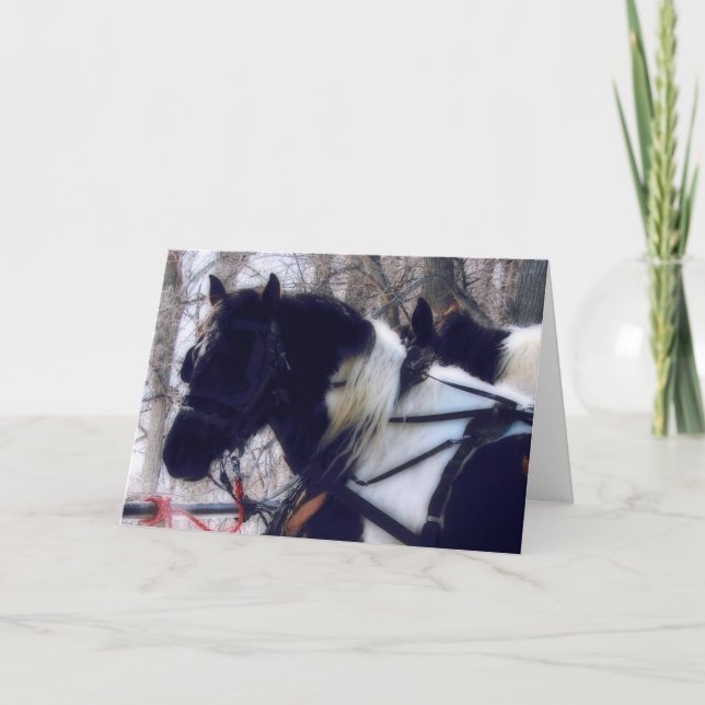 Cartes Pour Fêtes Annuelles Équipe Pinto Draft Horse, Noël (Devant)