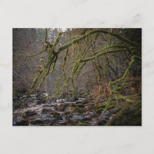 Cartes Pour Fêtes Annuelles Ermitage Dunkeld en hiver