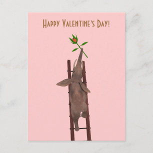 Cartes Pour Fêtes Annuelles Escalade éléphante une échelle