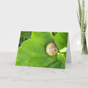 Cartes Pour Fêtes Annuelles Escargot