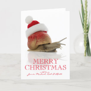 Cartes Pour Fêtes Annuelles Escargot de Noël