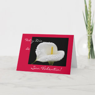Cartes Pour Fêtes Annuelles Espagnol : Saint-Valentin/Dia de San Valentin