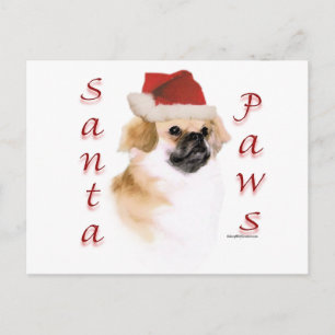 Cartes Pour Fêtes Annuelles Espagnol tibétain Père Noël Paws