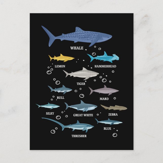 Cartes Pour Fêtes Annuelles Espèces de requins Le requin fait face à la biolog (Devant)