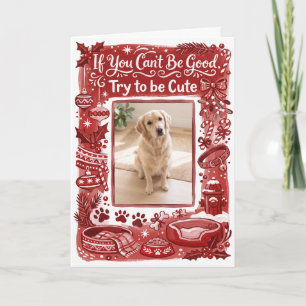 Cartes Pour Fêtes Annuelles Essayer d'être mignon Photo de chien drôle de Noël