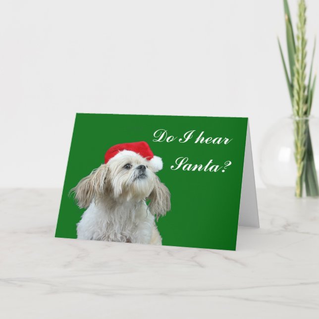 Cartes Pour Fêtes Annuelles Est-ce que j'entends Père Noël ? (Devant)