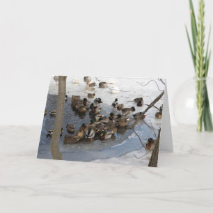 Cartes Pour Fêtes Annuelles Étang congelé avec des canards