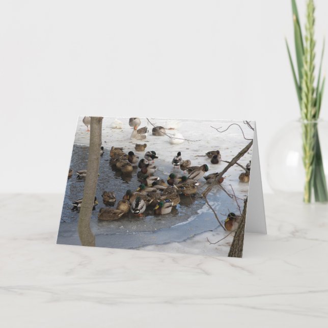 Cartes Pour Fêtes Annuelles Étang congelé avec des canards (Devant)
