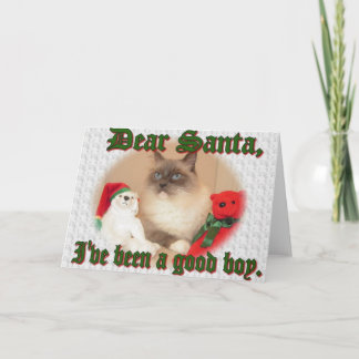 Cartes Pour Fêtes Annuelles Été un bon garçon !