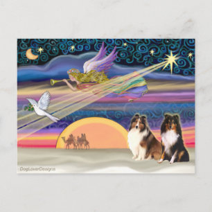 Cartes Pour Fêtes Annuelles Étoile de Noël - Berger des Shetland (2)