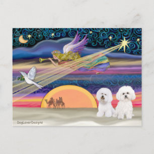 Cartes Pour Fêtes Annuelles Étoile de Noël - Bichon frisé (deux)