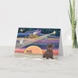 Cartes Pour Fêtes Annuelles Étoile de Noël - Cairn Terrier (bringé)