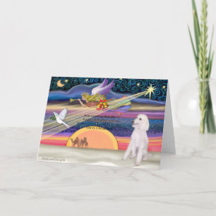Cartes Pour Fêtes Annuelles Étoile de Noël - Caniche (standard blanc) -