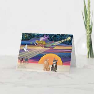 Cartes Pour Fêtes Annuelles Étoile de Noël - Chats tigrés brun et orange (deux