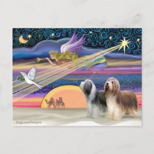 Cartes Pour Fêtes Annuelles Étoile de Noël - Collies hérissées (deux) (Devant)