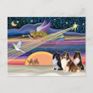 Cartes Pour Fêtes Annuelles Étoile de Noël - Shetland Sheepdogs (trois)