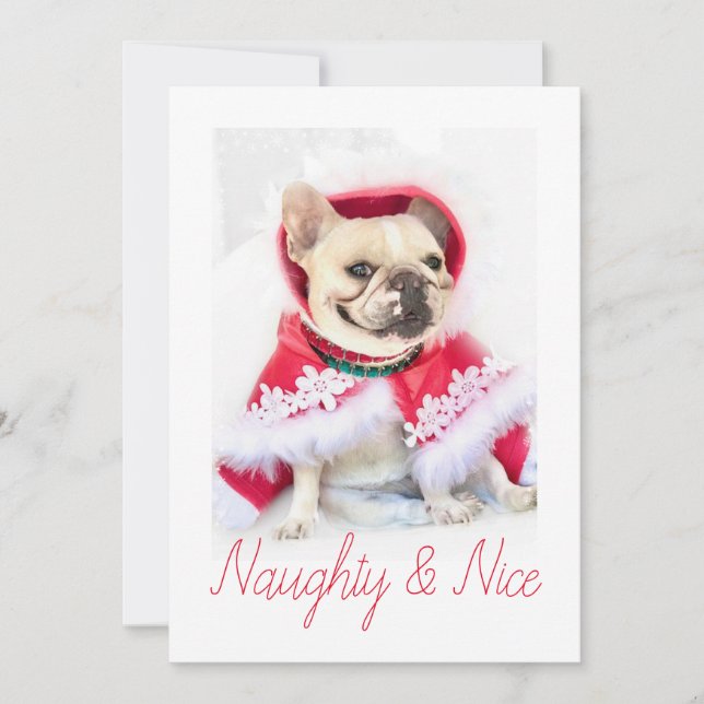 Cartes Pour Fêtes Annuelles Étoile pour animaux | Naughty & Nice Custom Pet Do (Devant)