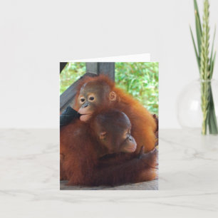 Cartes Pour Fêtes Annuelles Étreintes et amour de Valentine