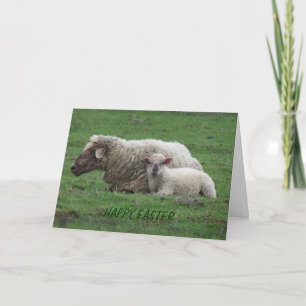 Cartes Pour Fêtes Annuelles Ewe avec agneau, Pâques