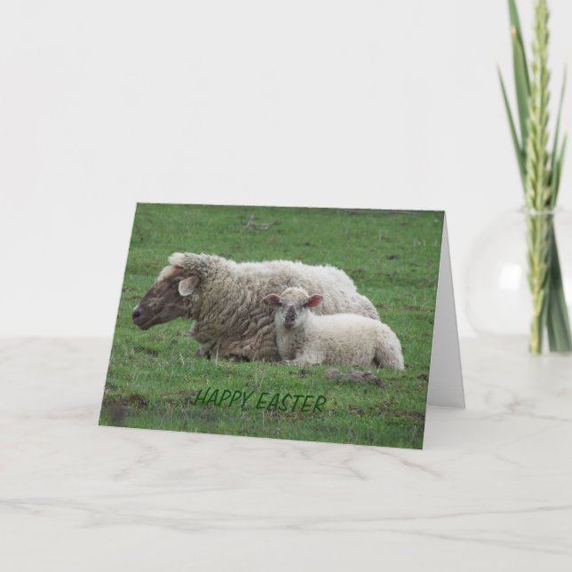 Cartes Pour Fêtes Annuelles Ewe avec agneau, Pâques (Devant)