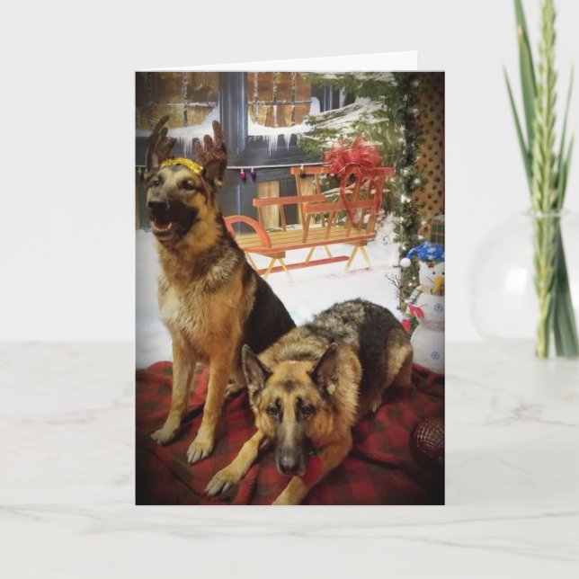 CARTES POUR FÊTES ANNUELLES EXCITÉ POUR NOUS DE DÉSIRER *VOUS* MERCI NOËL (Devant)