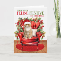 Exotic Shorthair Noël Chat FELINE Festive Holi