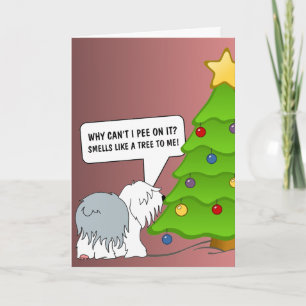 Cartes Pour Fêtes Annuelles Explain le mémoraning of Christmas to your dog now