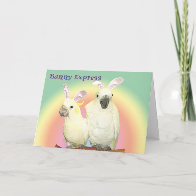 Cartes Pour Fêtes Annuelles Express lapin (Devant)
