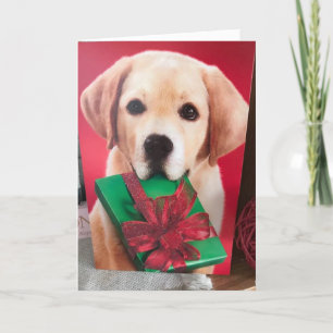 CARTES POUR FÊTES ANNUELLES FAIS MOI "HEUREUX" ET DIS QUE TU SERAS MA SAINTE V