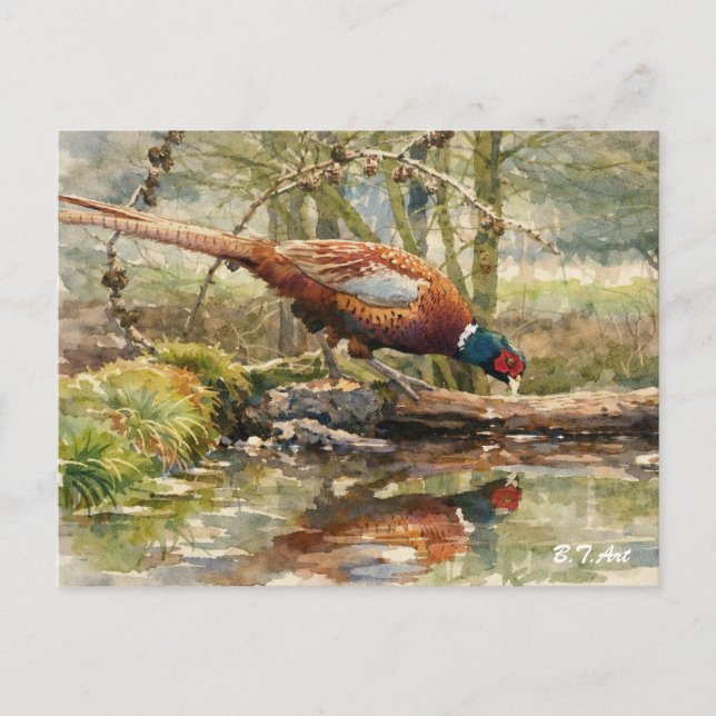 Cartes Pour Fêtes Annuelles Faisan  (Devant)