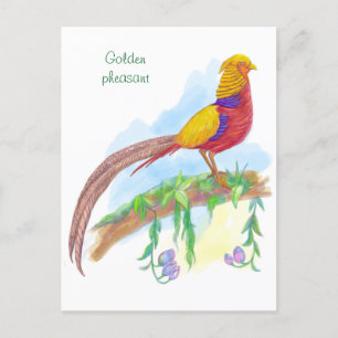 Cartes Pour Fêtes Annuelles Faisan doré d'oiseaux