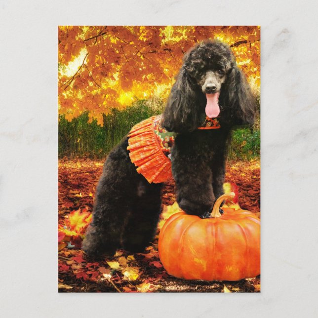Cartes Pour Fêtes Annuelles Fall Thanksgiving - Gidget - Poodle (Devant)