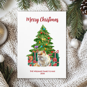 Cartes Pour Fêtes Annuelles Famille de chat persan Noël