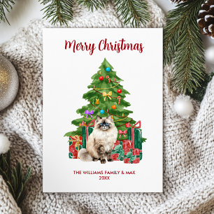 Cartes Pour Fêtes Annuelles Famille de chat Ragdoll Noël