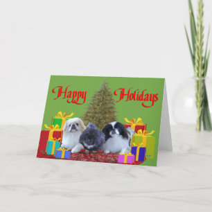 Cartes Pour Fêtes Annuelles Famille Pékinois Noël