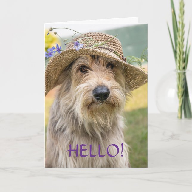 CARTES POUR FÊTES ANNUELLES FANCY PUP - THINKING OF YOU CARD (Devant)