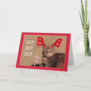 Cartes Pour Fêtes Annuelles Fantaisie Chat Et Sucre de canne Noël