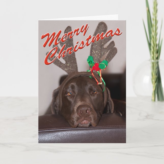 Cartes Pour Fêtes Annuelles Fantastique Labrador de Noël avec collier de Parti (Devant)
