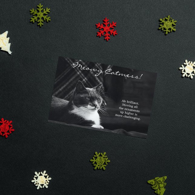 Cartes Pour Fêtes Annuelles Fantastique Meowy Chat Mess Noël (Créateur téléchargé)