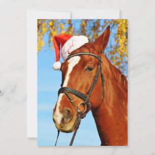 Cartes Pour Fêtes Annuelles Fantastique Noël du Cheval du Père Noël