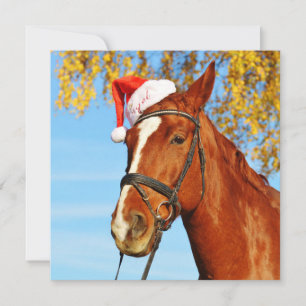 Cartes Pour Fêtes Annuelles Fantastique Noël du Cheval du Père Noël