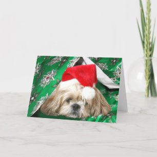 Cartes Pour Fêtes Annuelles Fatigué Noël Shih Tzu