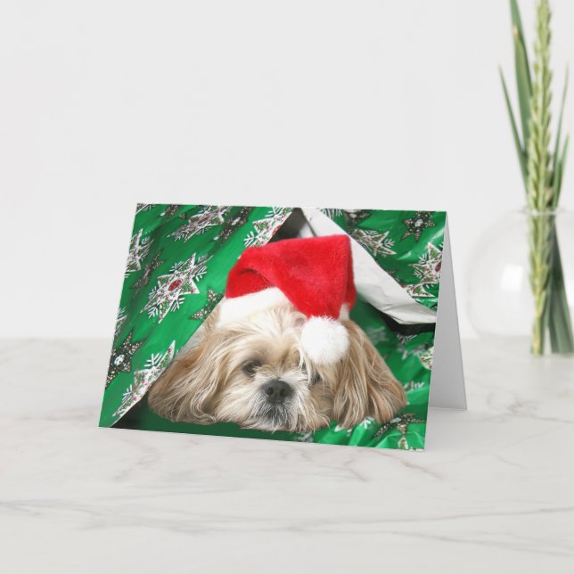 Cartes Pour Fêtes Annuelles Fatigué Noël Shih Tzu (Devant)