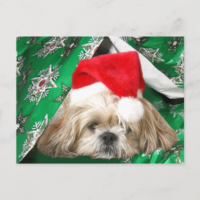 Cartes Pour Fêtes Annuelles Fatigué Noël Shih Tzu (Devant)
